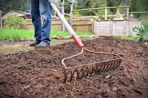 10 Tips for Vegetable Garden Soil Preparation 2024