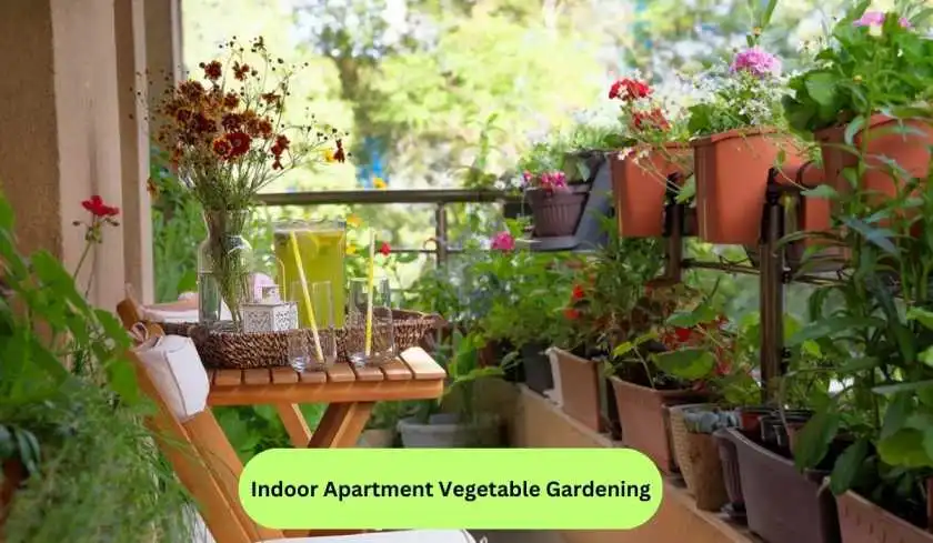 Indoor Apartment Vegetable Gardening: A Sustainable Living Choice