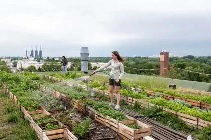 How Much of Us Farms Are Outdoors vs Indoors?