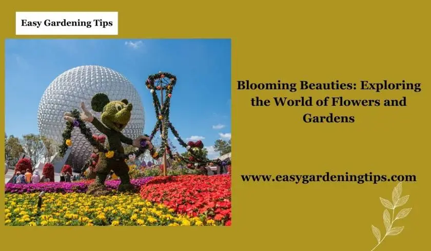 Blooming Beauties: Exploring the World of Flowers and Gardens