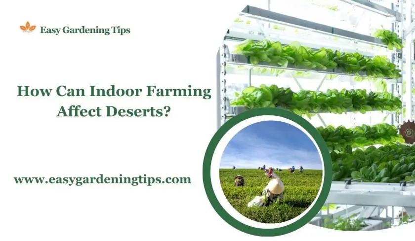 How Can Indoor Farming Affect Deserts?