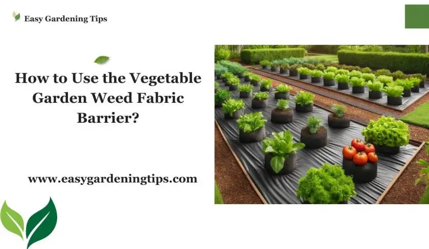 How to Use the Vegetable Garden Weed Fabric Barrier?