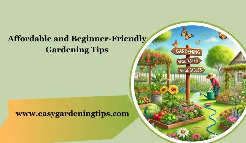 What Are Some Affordable and Beginner-Friendly Gardening Tips?