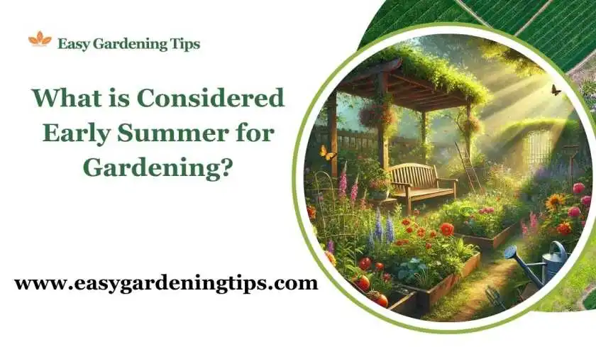 What Is Considered Early Summer for Gardening?