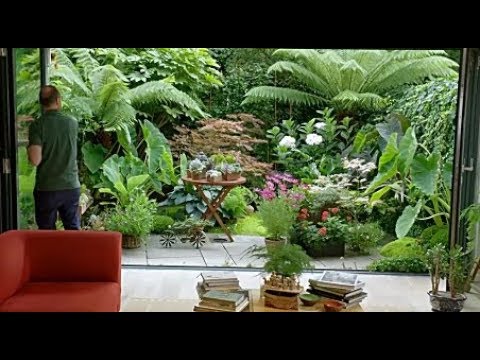 Small Tropical Garden Ideas #1