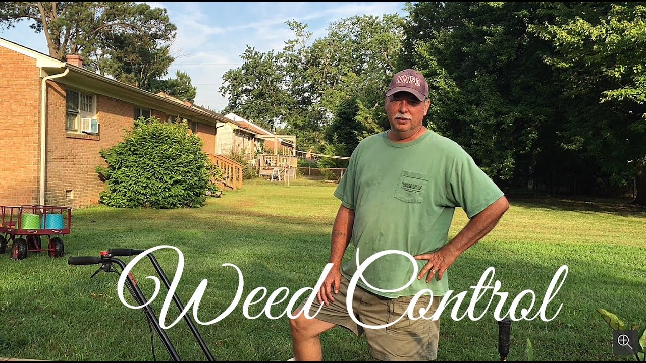 Gardening Tips   Weed Control