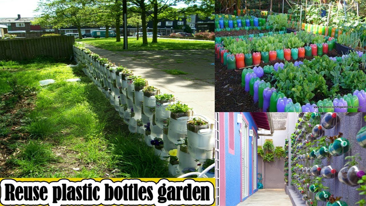 Brilliant ways to reuse plastic bottles garden