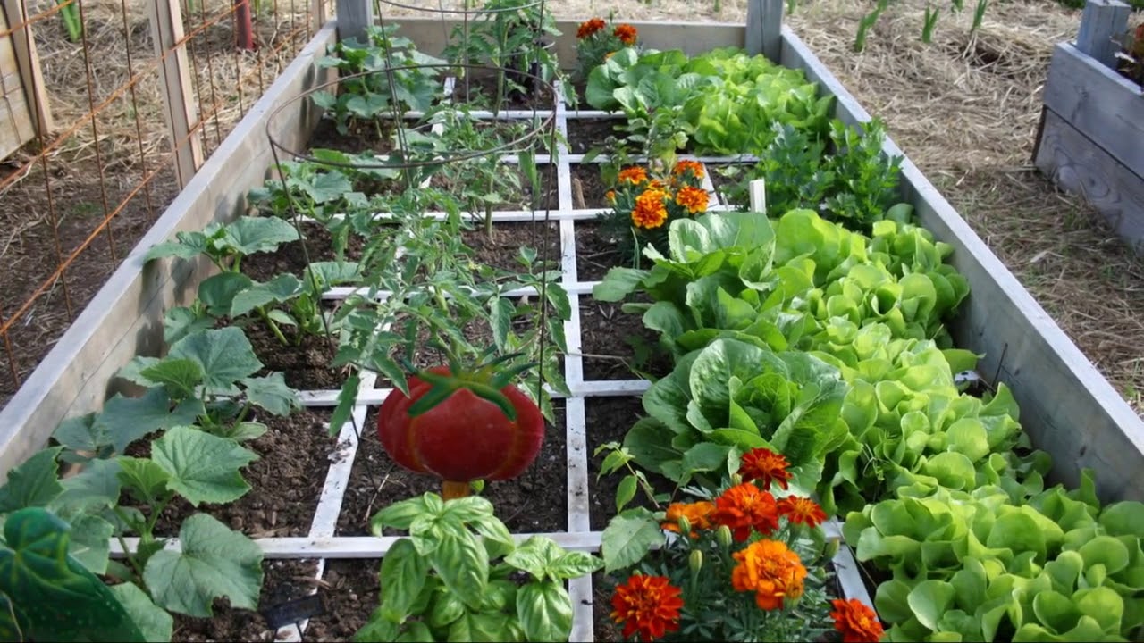 square foot gardening ideas