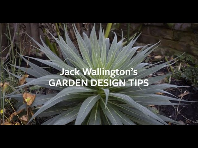 Jack Wallingtons Garden Design Tips