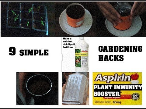 9 Simple Gardening Hacks