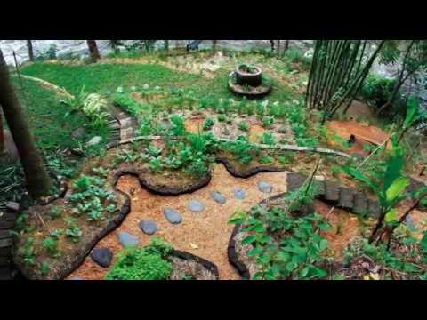 Garden Design Ideas  Permaculture Garden Design Examples