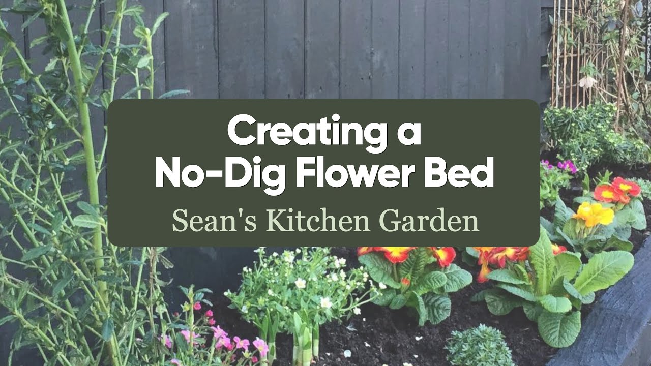 87. Jan Y3: Creating a No Dig Flower Bed