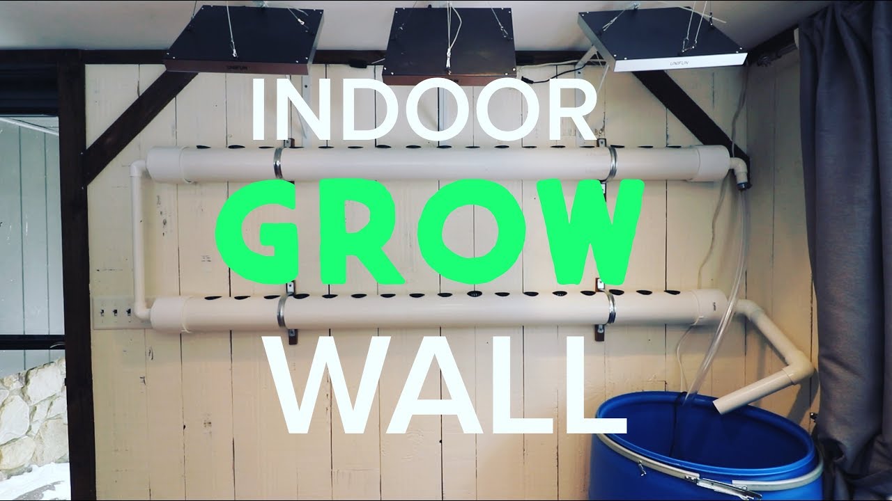 Build a Hydroponic Grow Wall Inside  Grow Plants Year Round and Save Money!