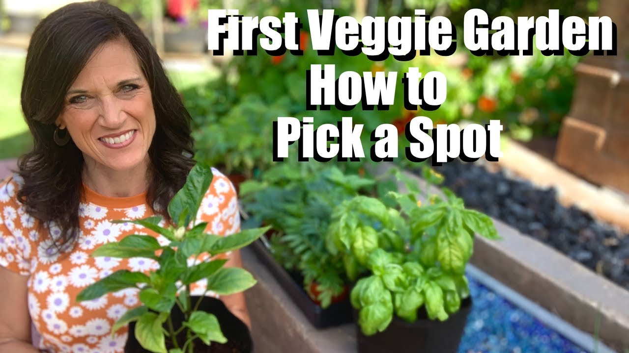 How to Pick a Spot for Your First Vegetable Garden for Maximum Production/Spring Garden Series #8