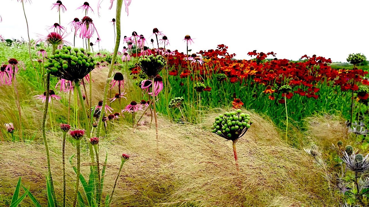 How landscape designer Piet Oudolf captures natures emotion