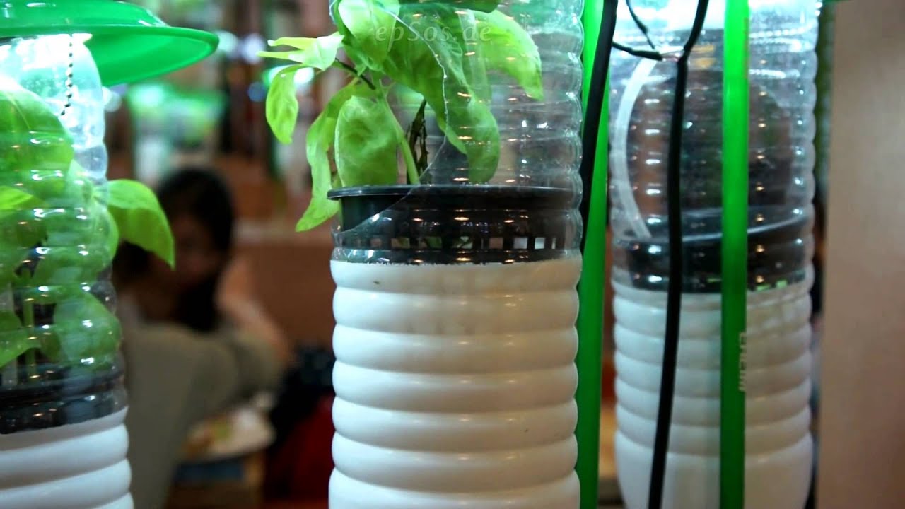 Vertical Gardening Ideas  Build Your Indoor Garden DIY Project with using Plastic Bottles