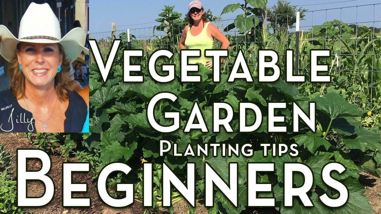 Planting a Vegetable Garden for Beginners  Tips for the First Time Vegetable Gardener