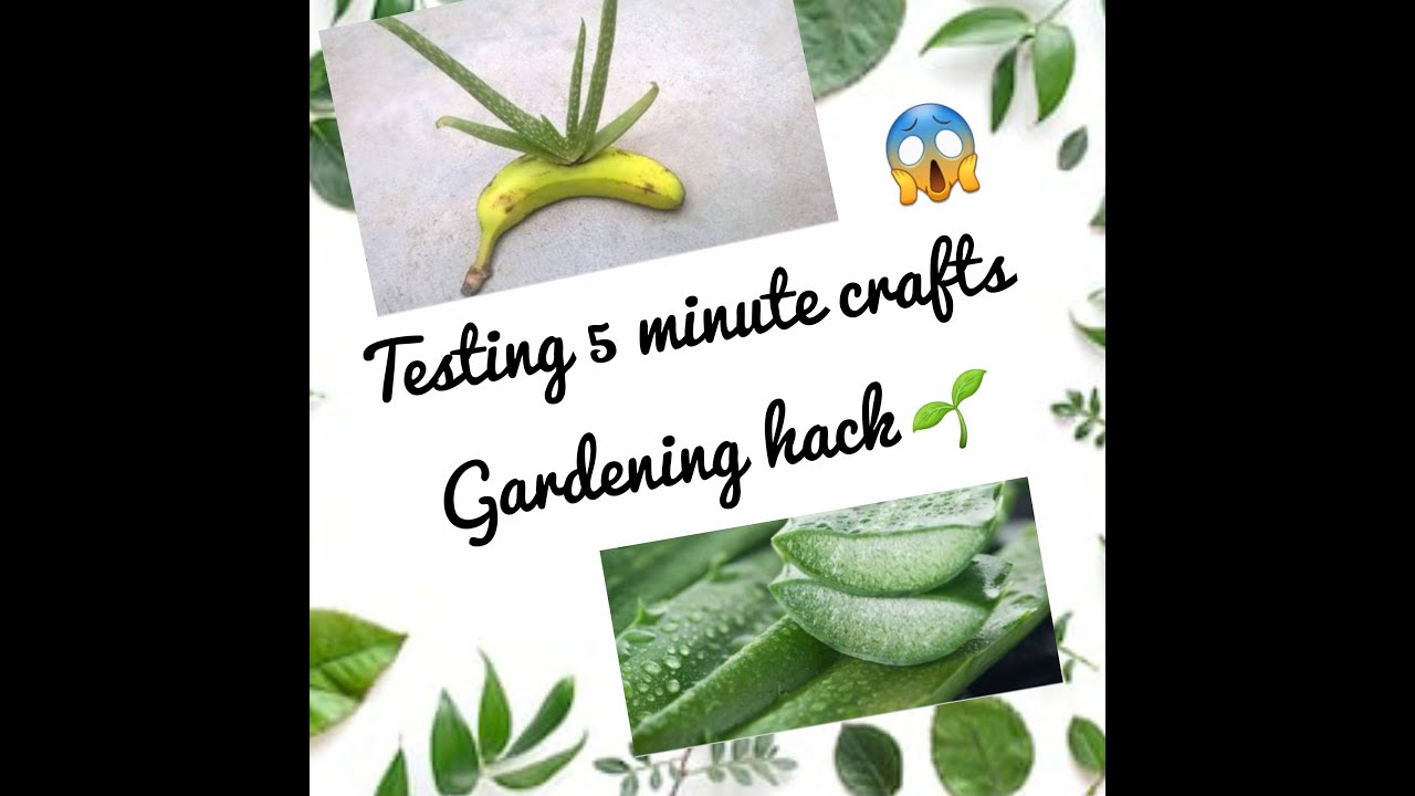 Testing 5 minute craft gardening hacks