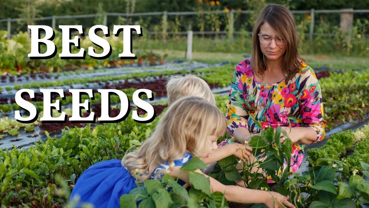 Top 10 MUST GROW Seeds For Your Vegetable Garden