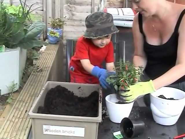 Kids Gardening Ideas Pt2  Planting with Sam