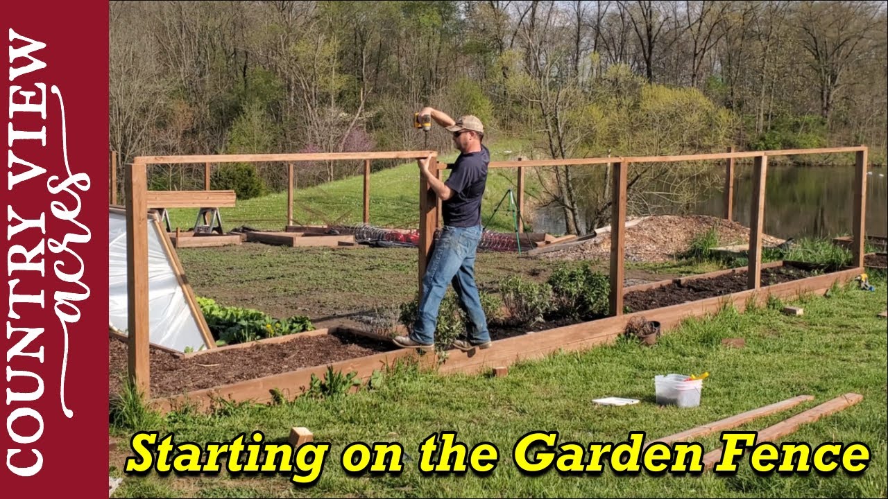 Starting to fence in our vegetable garden.