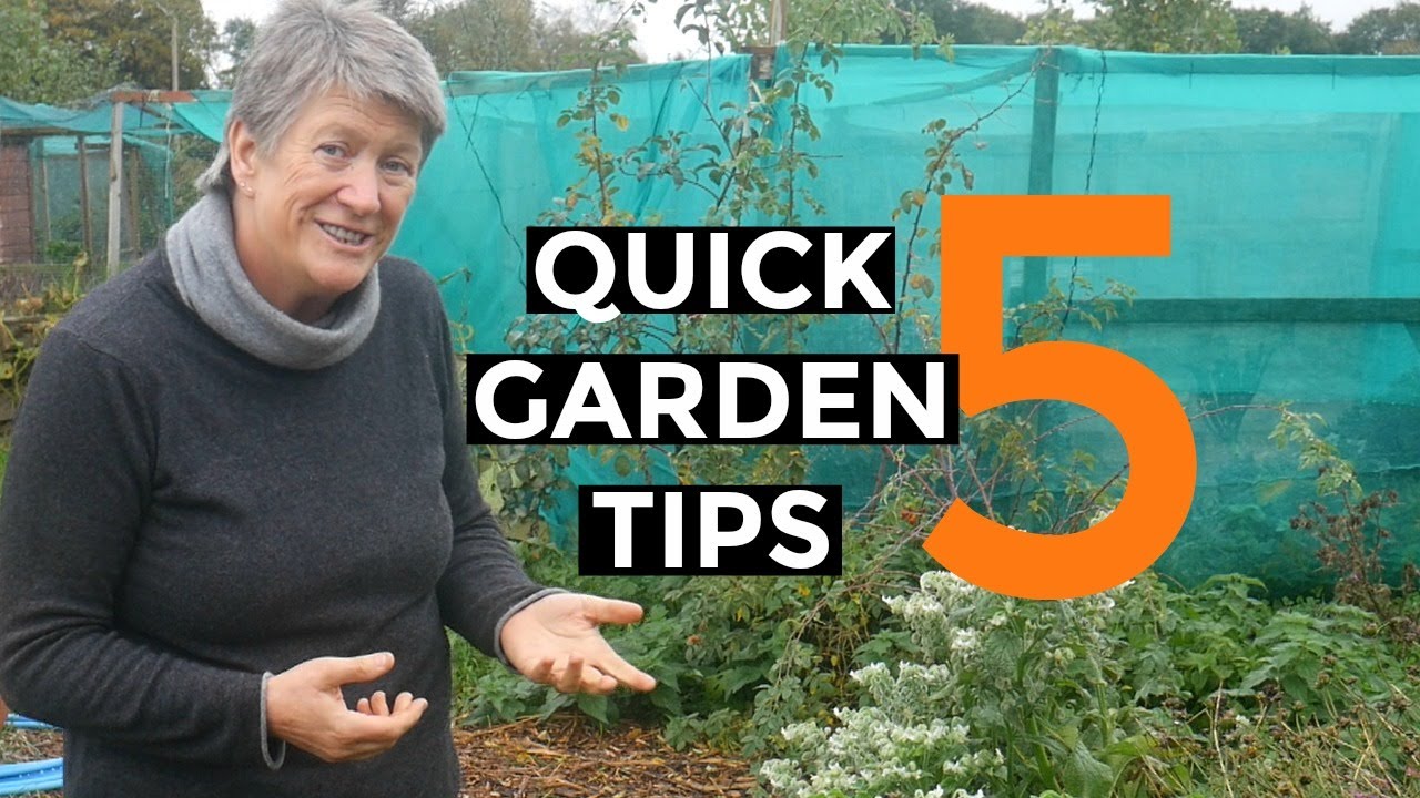 5 Gardening Tips in 5 Minutes | Collab with Jane Kelly