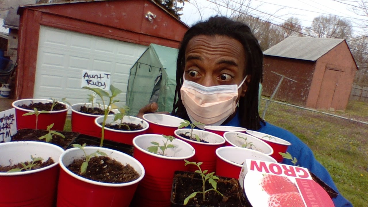 HOW TO START A GARDEN NOW! Gardening For Beginners  KIDS NEED SOMETHING TO DO! Start Seeds  CORONA