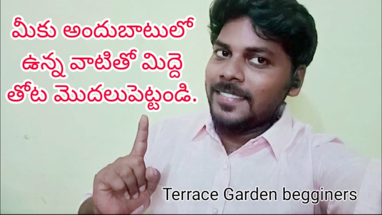 Terrace Gardening for begginers|terrace Garden ideas|Gardening Telugu by Gowri Garden Telugu