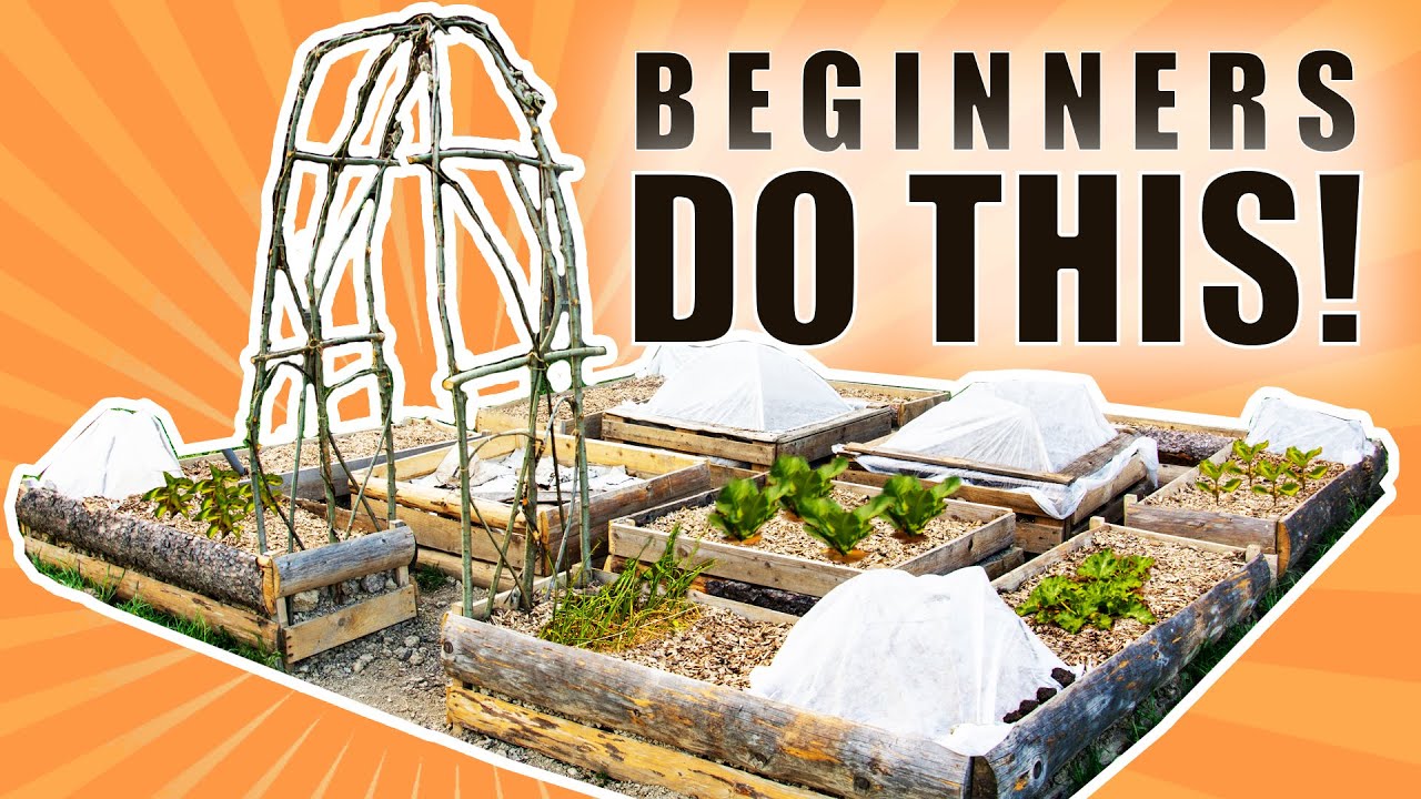 7 GARDENING TIPS For Starting A Small Vegetable Garden (From Beginner To PRO!)