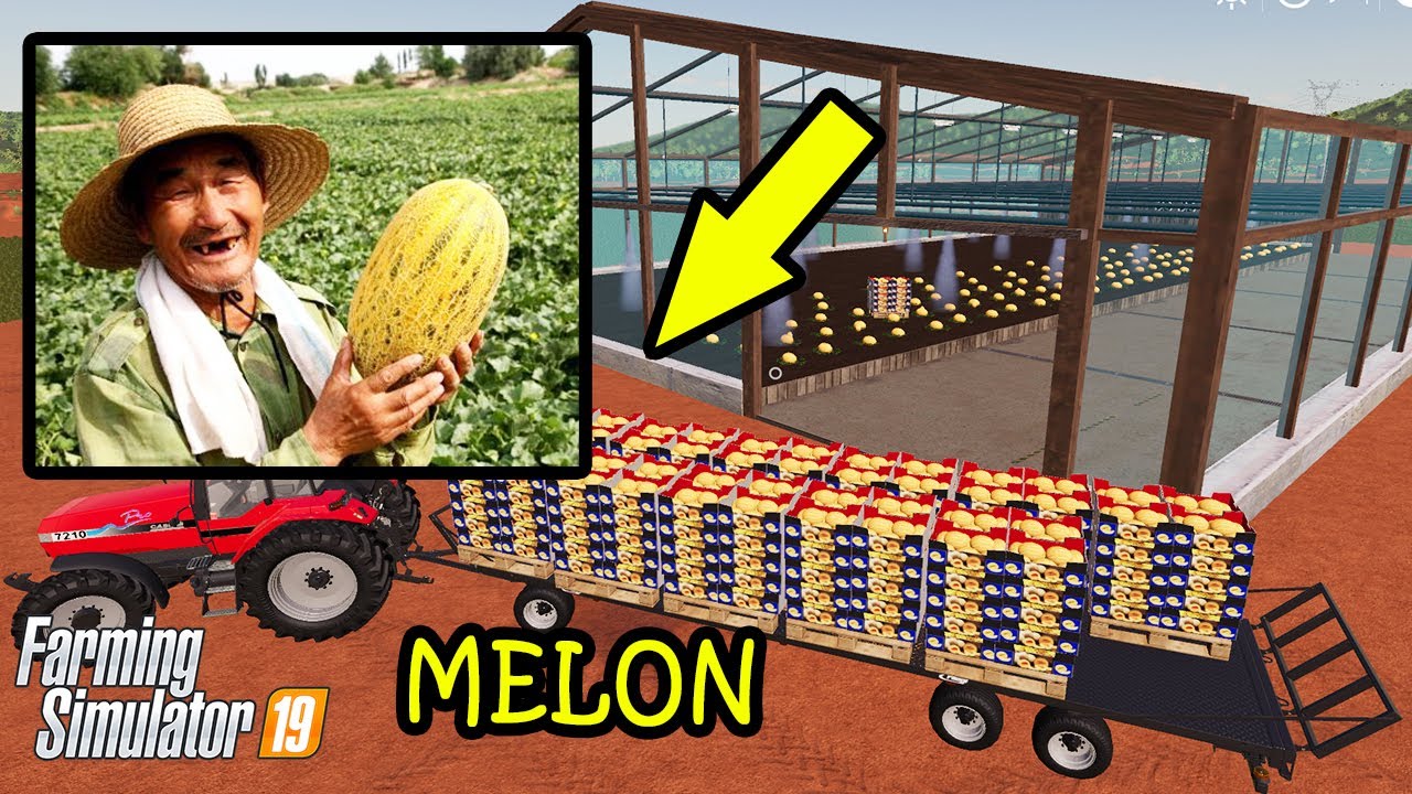 Farming Simulator 19  My Hobby Garden! How to grow Melon?  Gardening Tips!