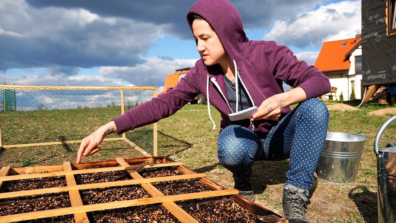 Theyre Sprouting!! First Vegetable Garden / Tiny House in Poland