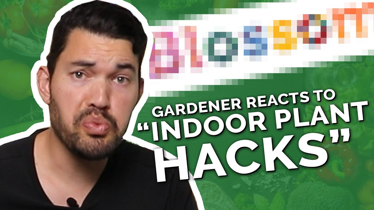 Gardener Reacts to Indoor Gardening Hacks