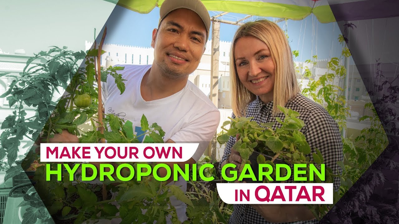 Hydroponic gardening in Qatar