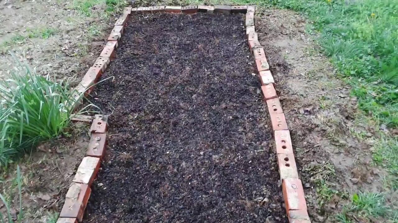 Starting a GARDEN NOW  CORONA VIRUS IS REAL  GARDENING FOR BEGINNERS 2020  CHEAP AND EASY WAY