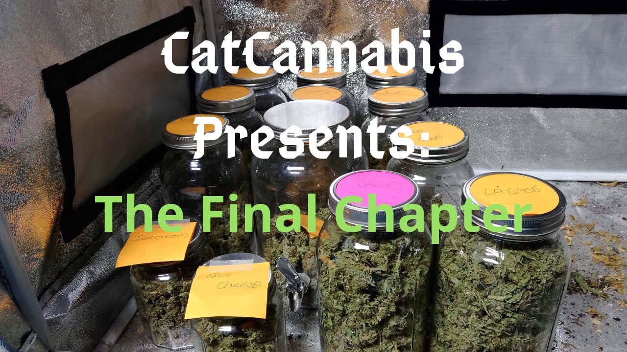 Cannabis Indoor Gardening #17  Harvest Time! The Final Chapter