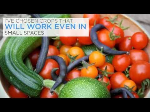 Vegetable Gardening Made Easy  Gardening For Beginners