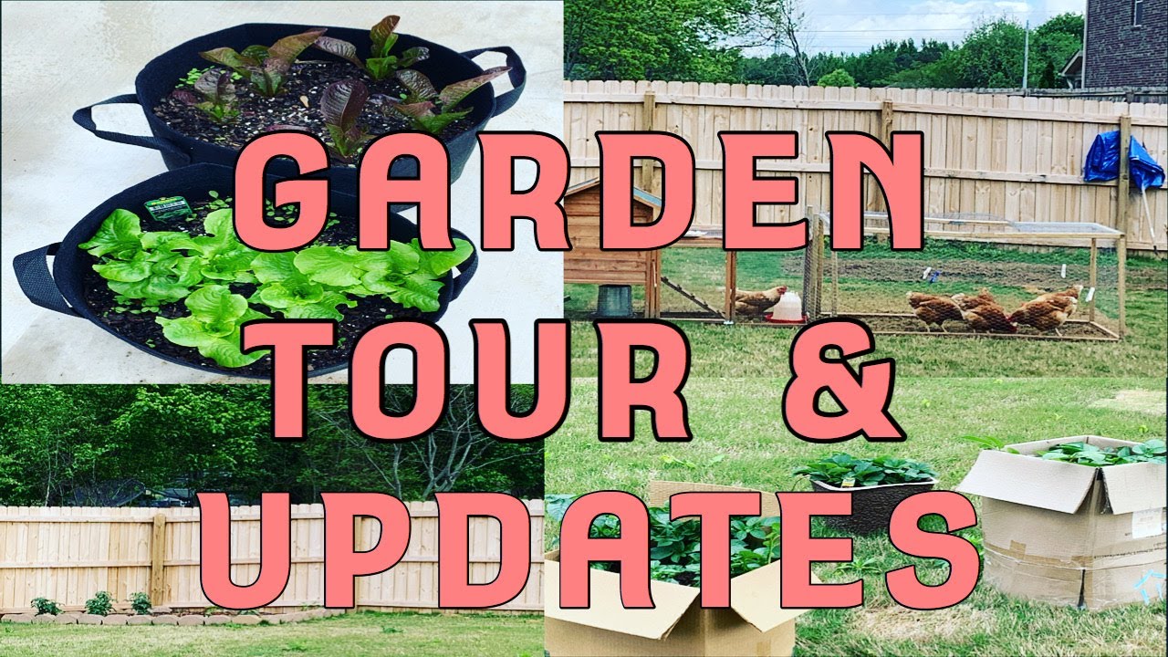 SPRING GARDEN TOUR & EGG LAYING CHICKEN UPDATES | Gardening for Beginners | Raising Chickens