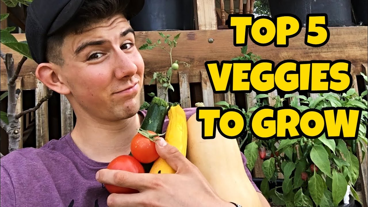 Best Vegetables To Grow (Top 5) | Beginner Gardening