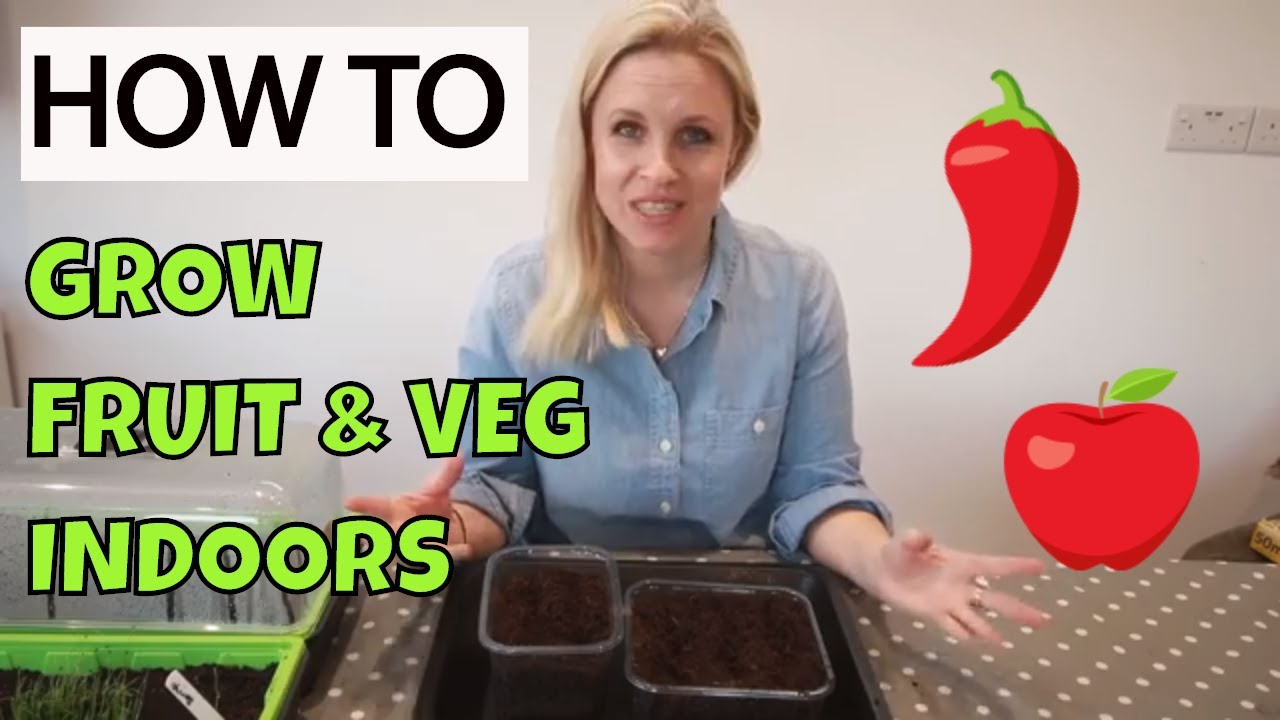 How to grow vegetables indoors without any equipment  so easy