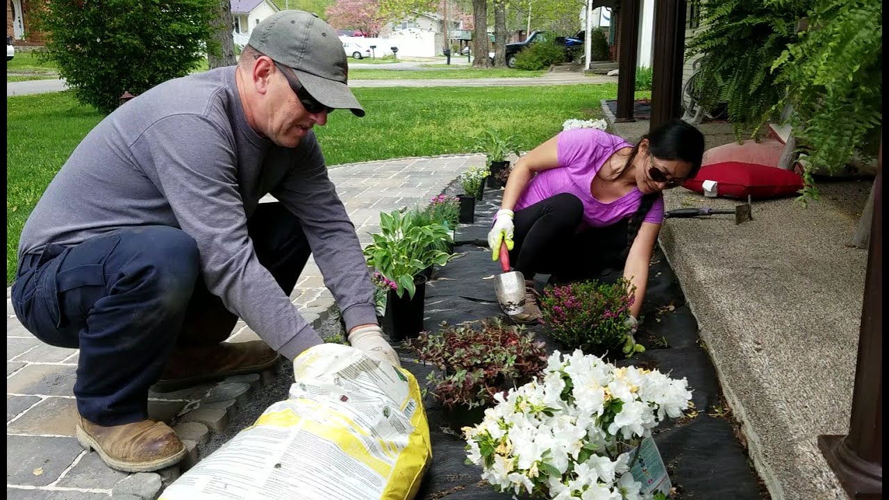 How to Start a Flower Garden