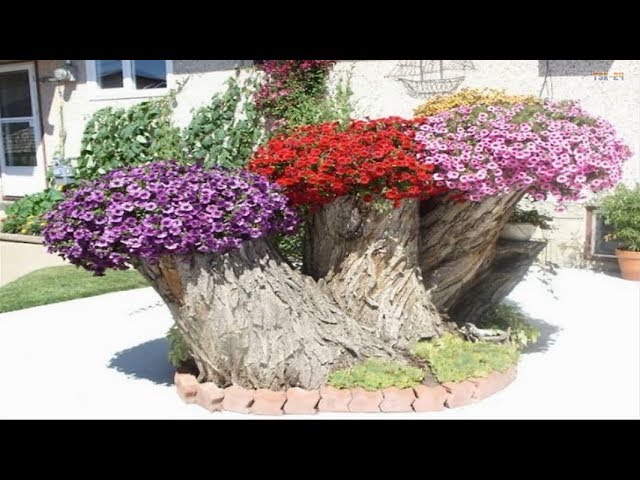 Best ideas! Amazing Tree Stump Ideas for the Garden