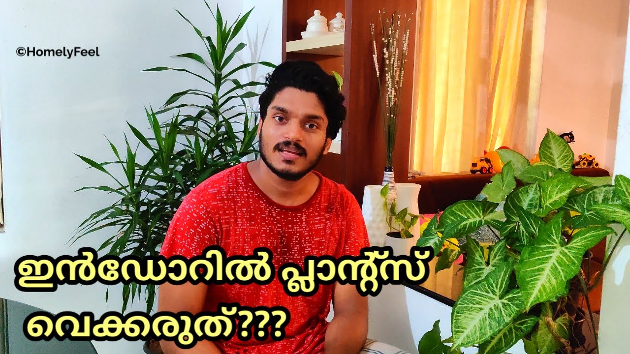 Dont keep plants indoors?? | in Malayalam | Homely Feel | Diyab