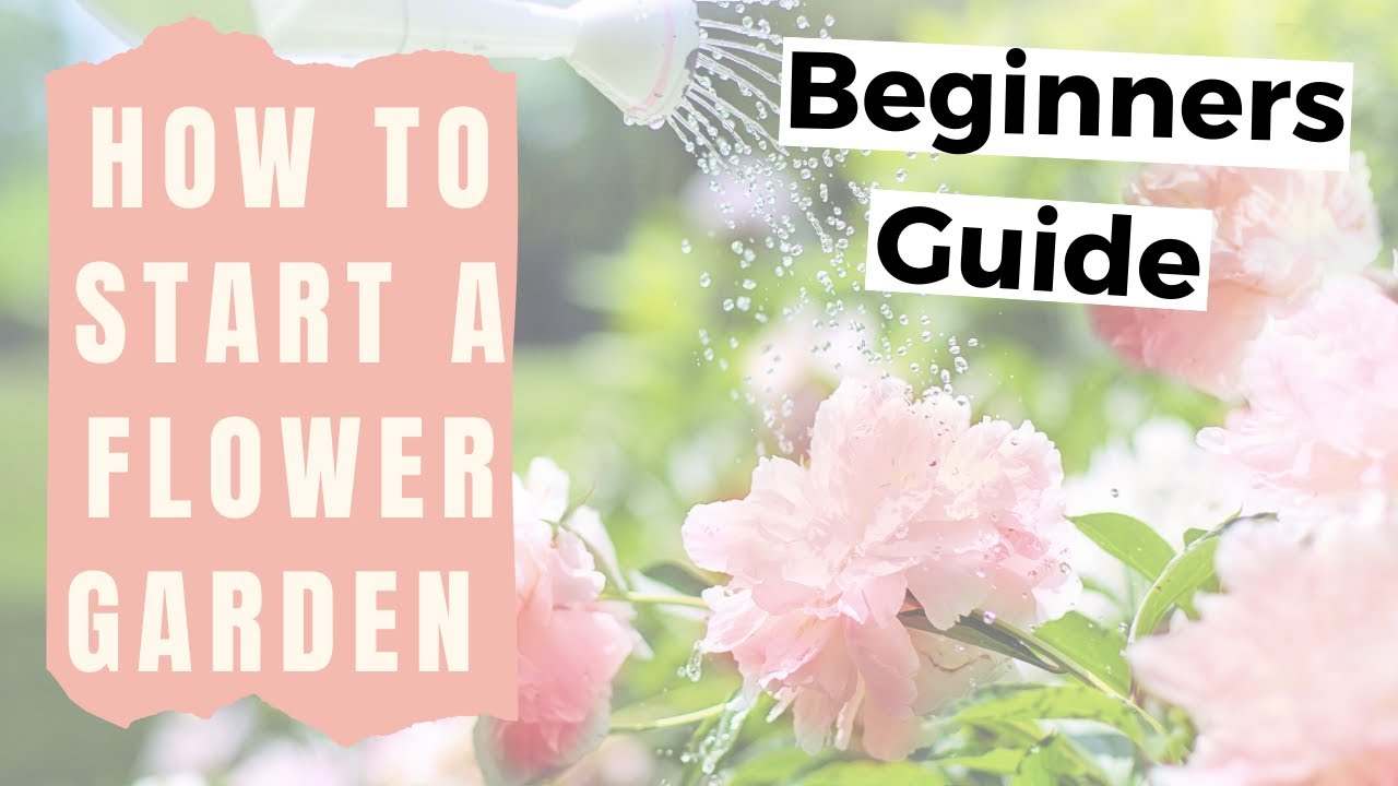 How to Start a Flower Garden for Beginners  Home Gardening for Beginners Flowers