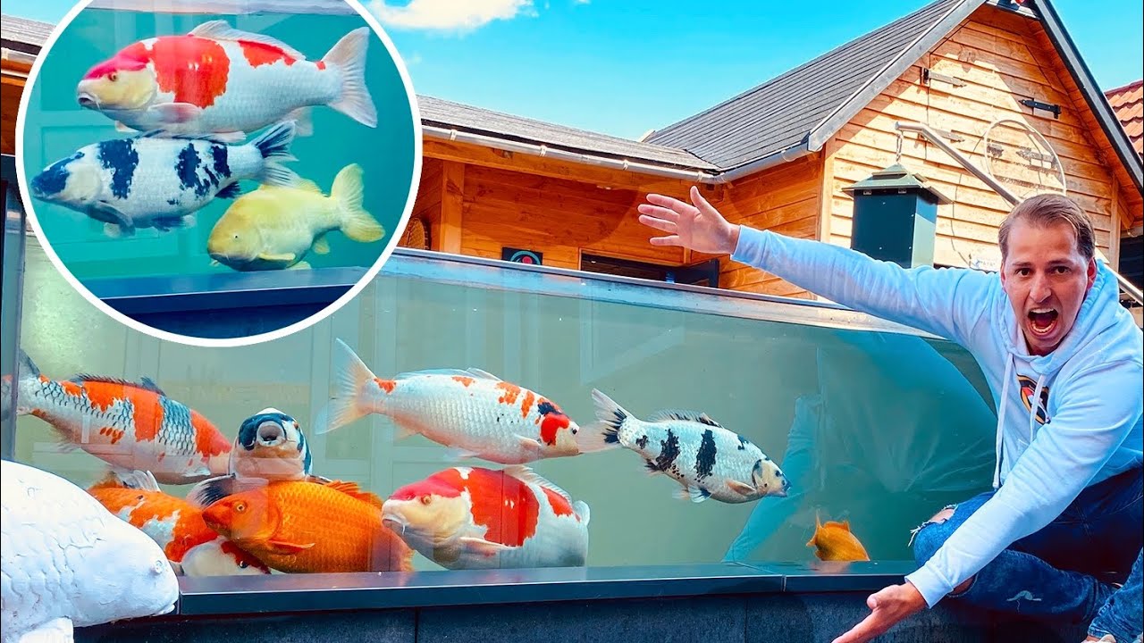 9000 Gallon Fish Pond, AMAZING Koi Collection! *TOP Garden designs