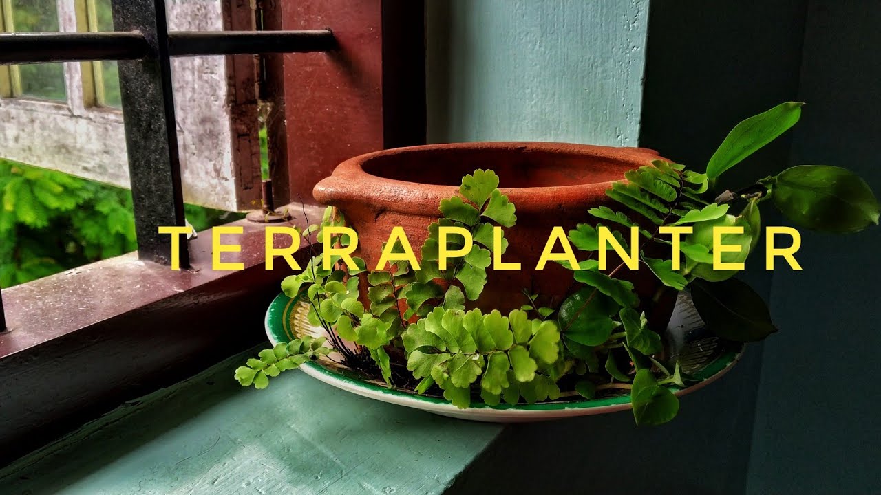 A Terraplanter Alternative- the inside out planter/Indoor gardening ideas/Creative Collections