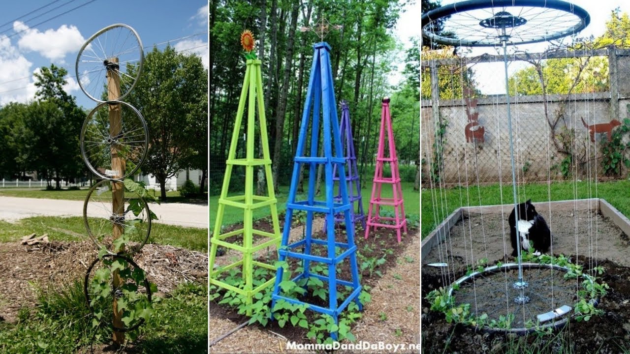 10 Vegetable Garden Trellis Ideas