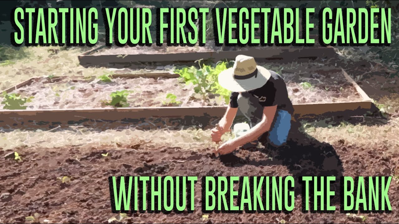 Starting Your First Vegetable Garden (Without Breaking The Bank)  Complete Presentation