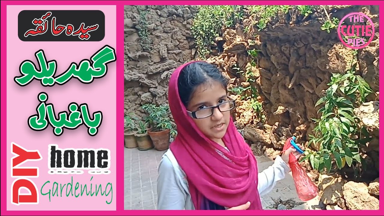 DIY Indoor Gardening for kids with Syeda Haiqa | Bachey Ghar mein Baghbani kren | The Cutie Pies