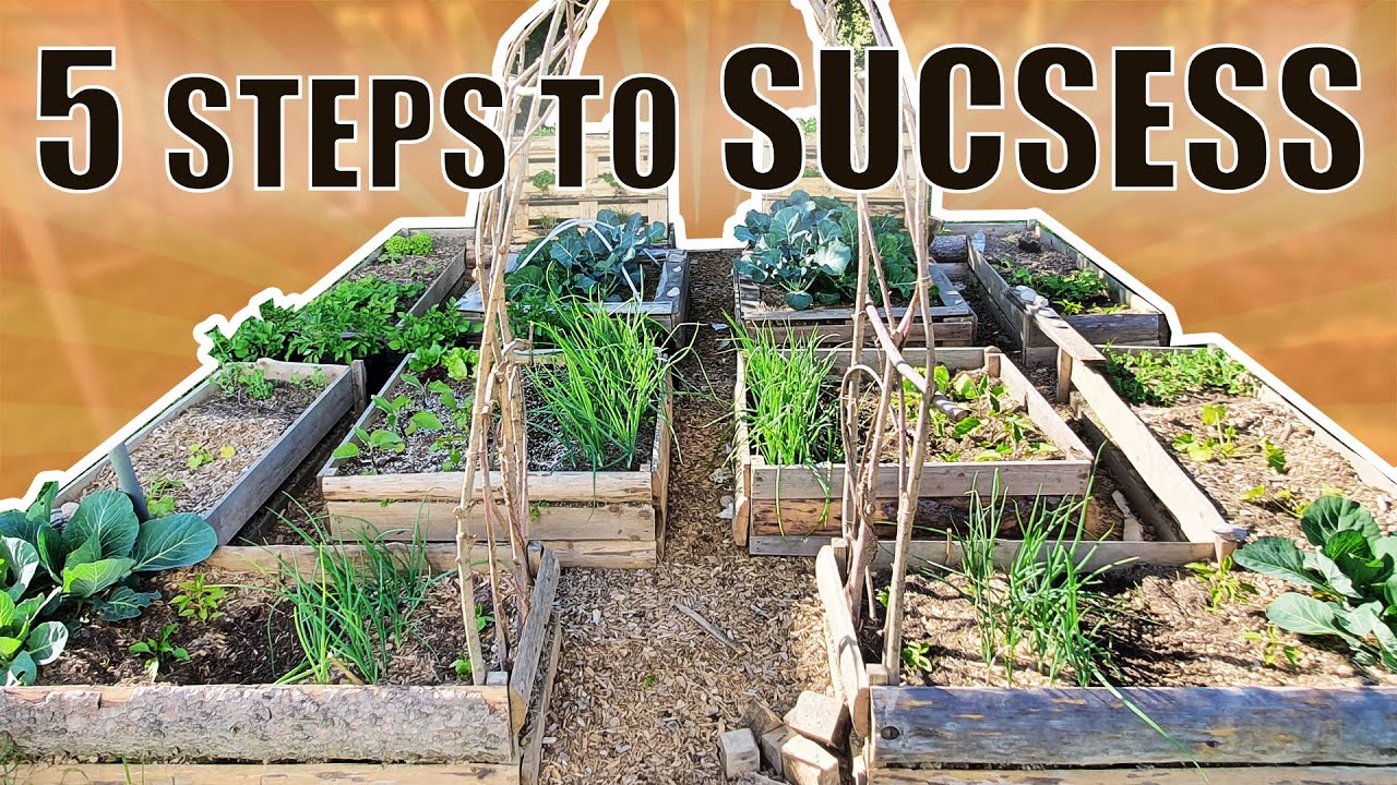 How To START GARDENING For Beginners  5 Steps To Sucsess  Creating A Kitchen Garden From Scratch!