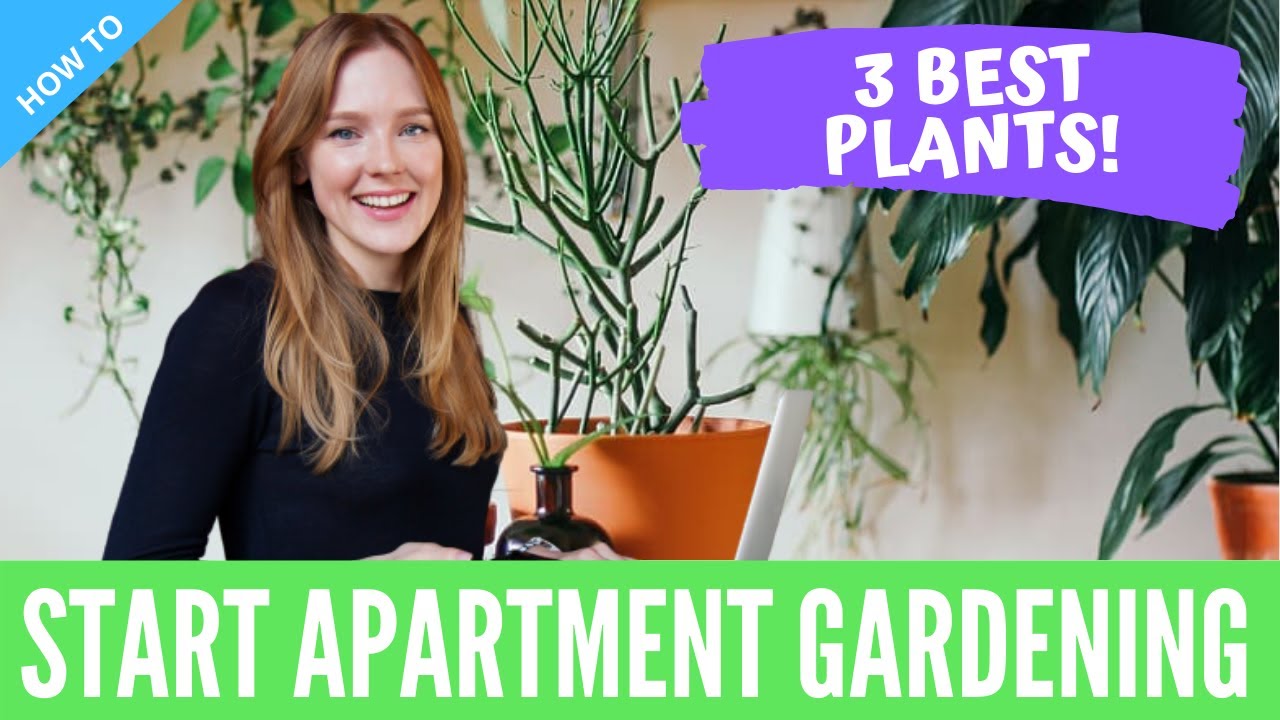 Apartment Gardening for Beginners | Urban Plants to Grow Indoor [Ideas & Tips]